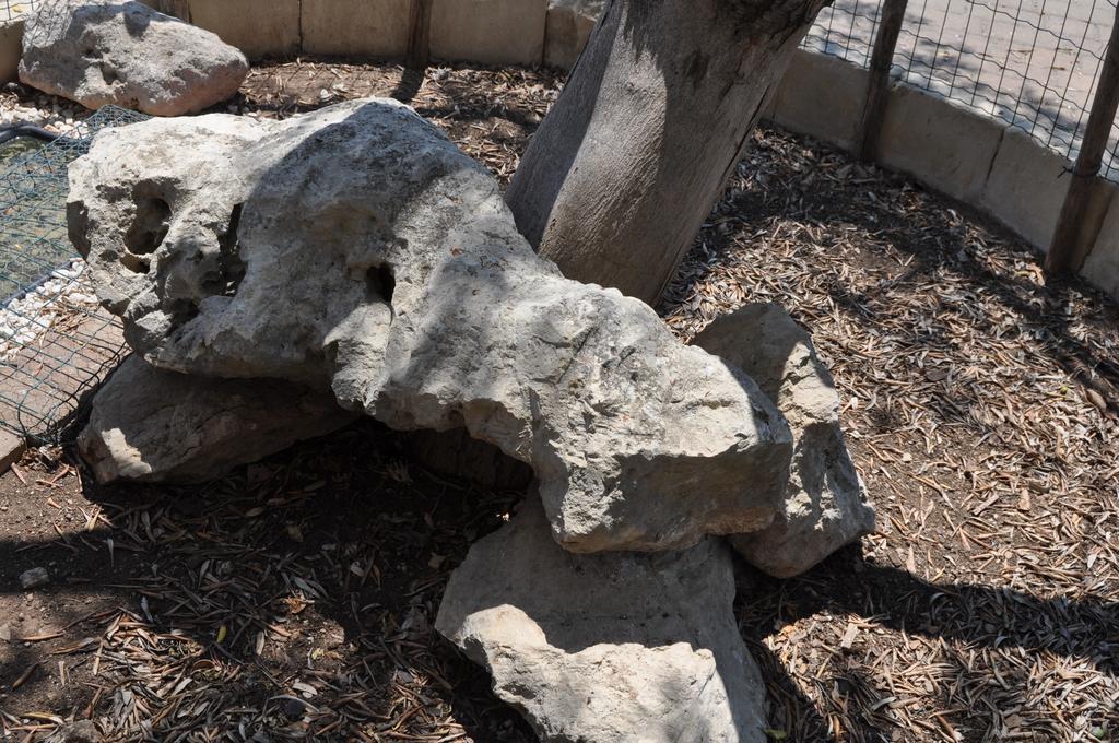 Giardini Di Marzo Bed & Breakfast Lecce