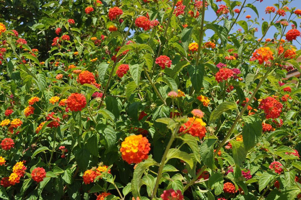 Bed & Breakfast Giardini Di Marzo 2*