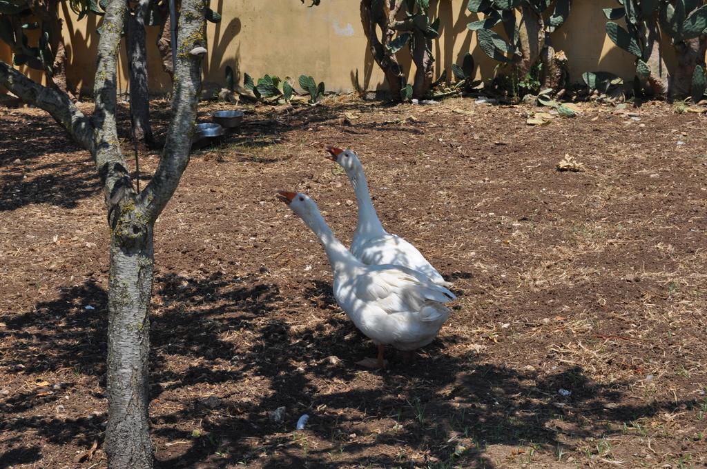 Giardini Di Marzo