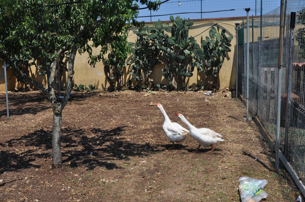 Bed & Breakfast Giardini Di Marzo Lecce