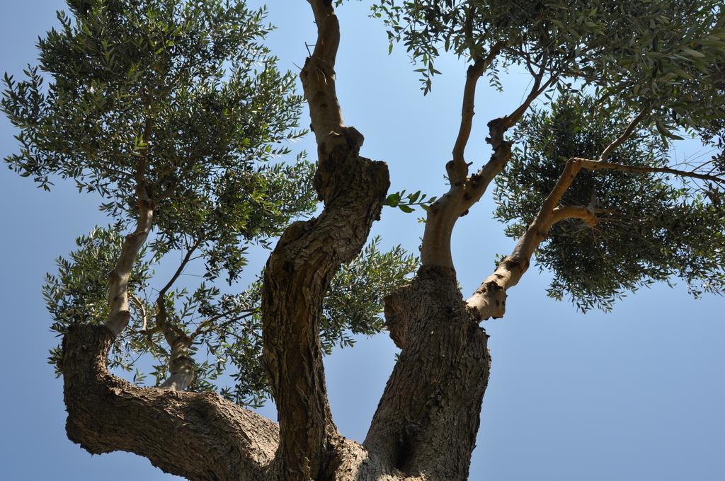 Bed & Breakfast Giardini Di Marzo