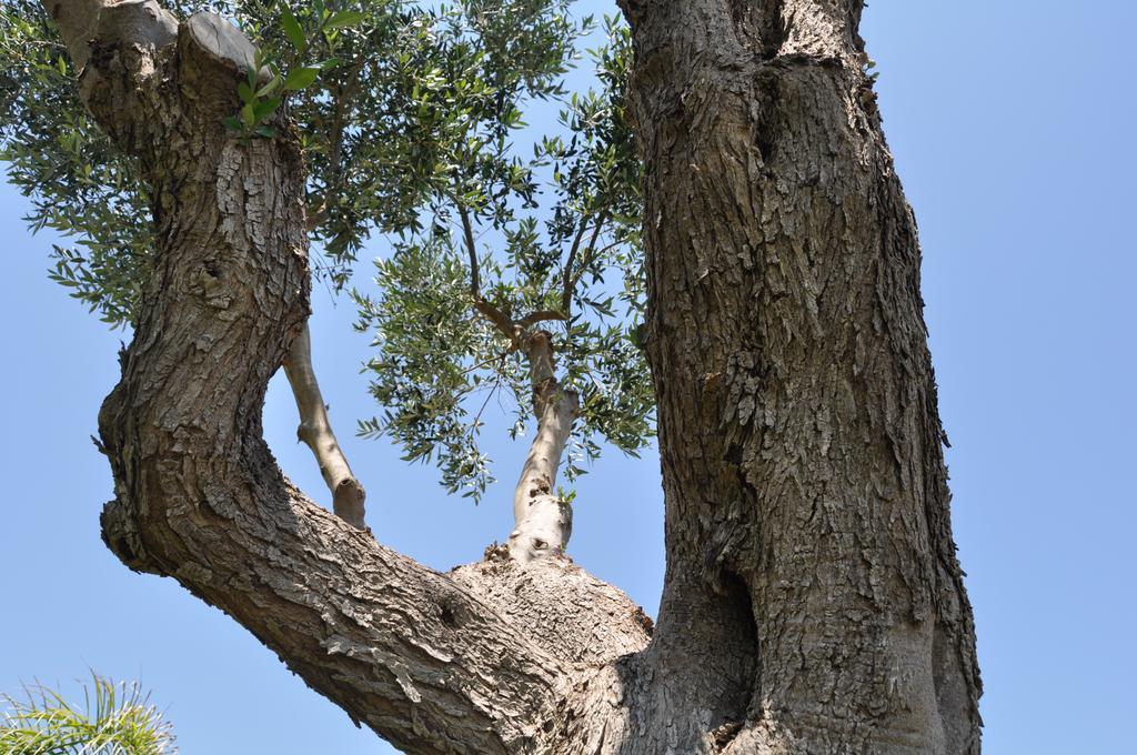 Giardini Di Marzo Bed & Breakfast Lecce